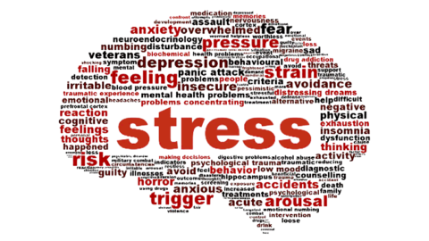 Stress and Stress Controversy