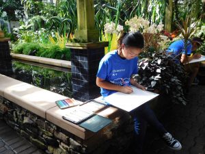 Botanical illustration took place in the Orchid House