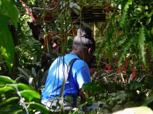 Jasmine Paige in the Orchid House