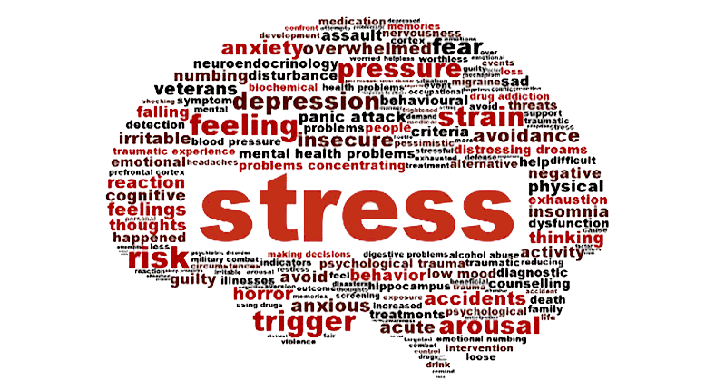 Stress and Stress Controversy
