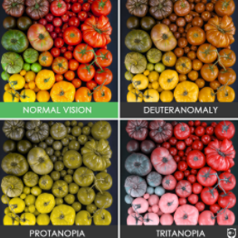 Challenges of Color Blindness at Chamblee