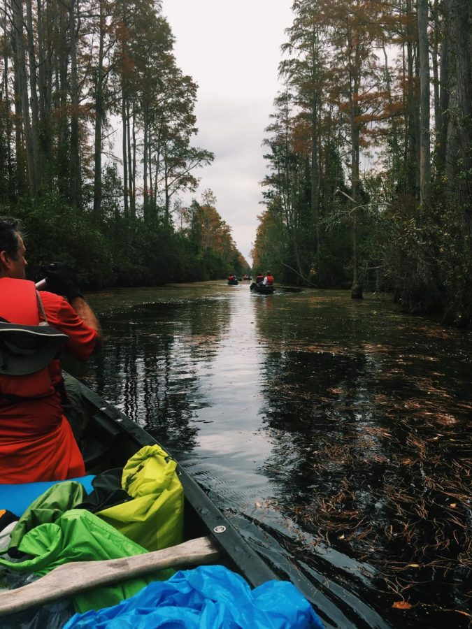 Troop 434 canoeing through the swamp.