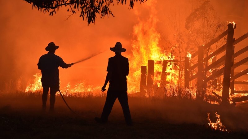 People attempt to control the bush fires raging in Australia.
