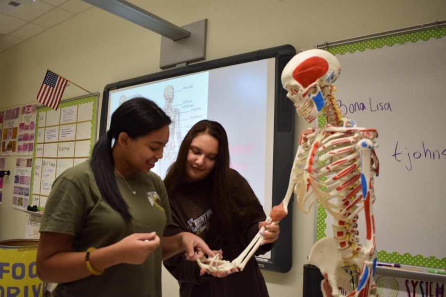 Healthcare students learning about anatomical structures.