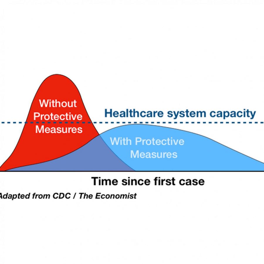 An example of the epidemic curve explained by Peterson.