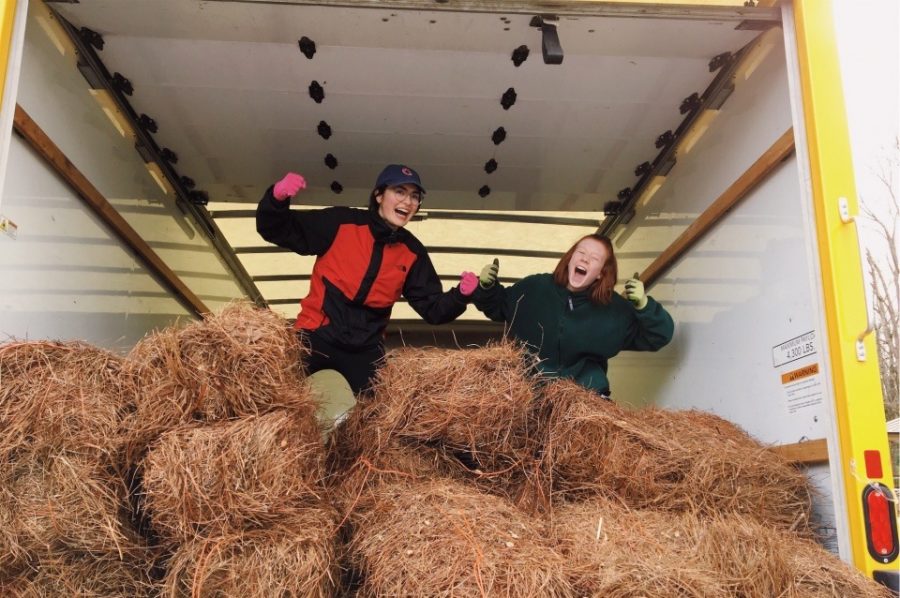 Prior to the strike of COVID-19, National Honor Society volunteers pose for a photo at an annual pine straw sale event.