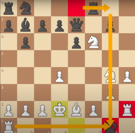 From Queen's Gambit to Streamers: Chess for All – The Blue & Gold