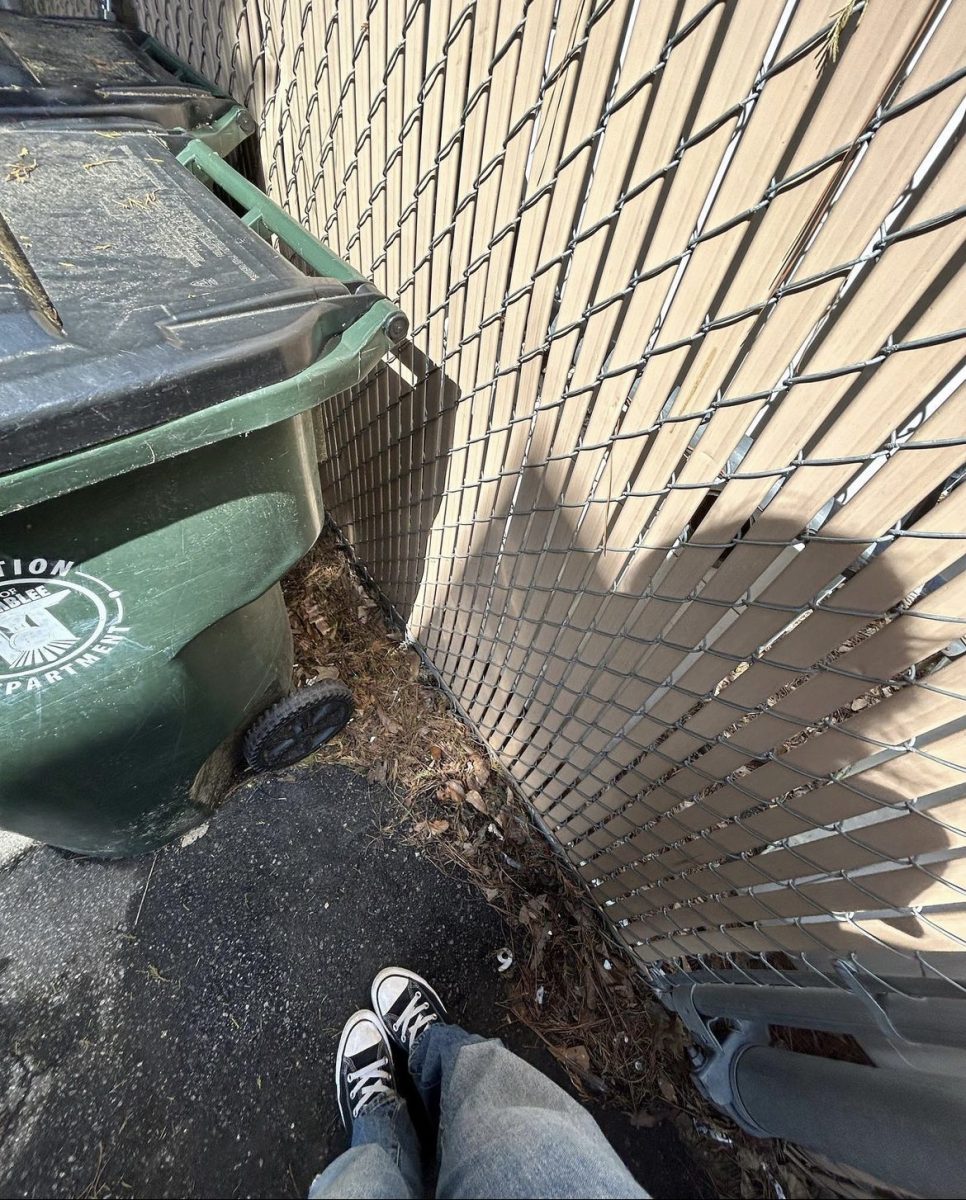 The author legitimately hiding from someone behind a dumpster.  Photo by Simran Kukreja
