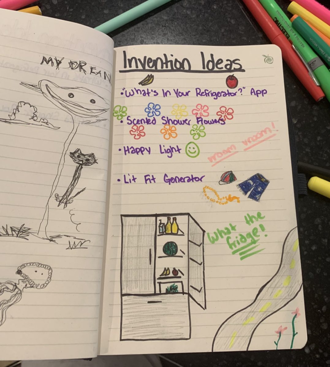The writer’s personal diary featuring her ideas for inventions as well as her latest dream. Photo courtesy of Finley Malone
