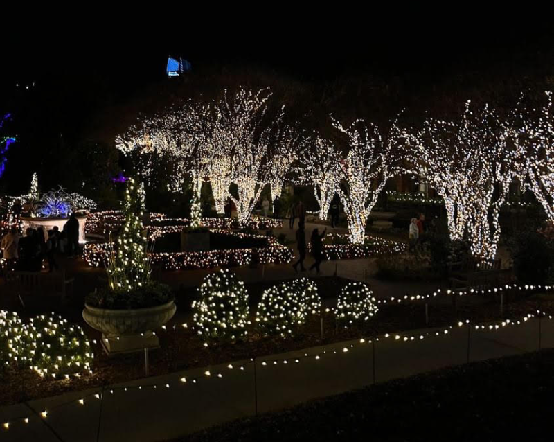 The Garden Lights, Holiday Nights exhibit at Atlanta Botanical Gardens. Courtesy of Amalee McWaters