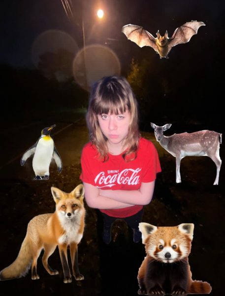 Sasha Lapayeva (‘27) with all her non-pet pets. Photo Courtesy of Sasha Lapayeva (‘27).
