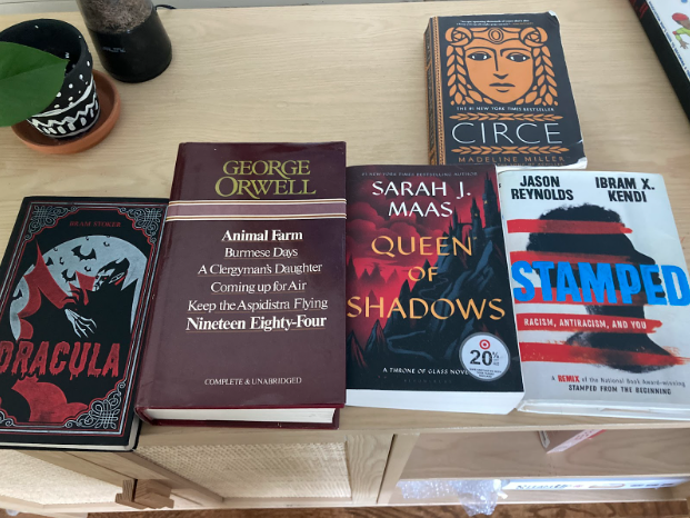 A few examples of books banned ranging from the years 1897 (Dracula) to 2020 (Stamped) (Photo Courtesy of Jackson Lee)
