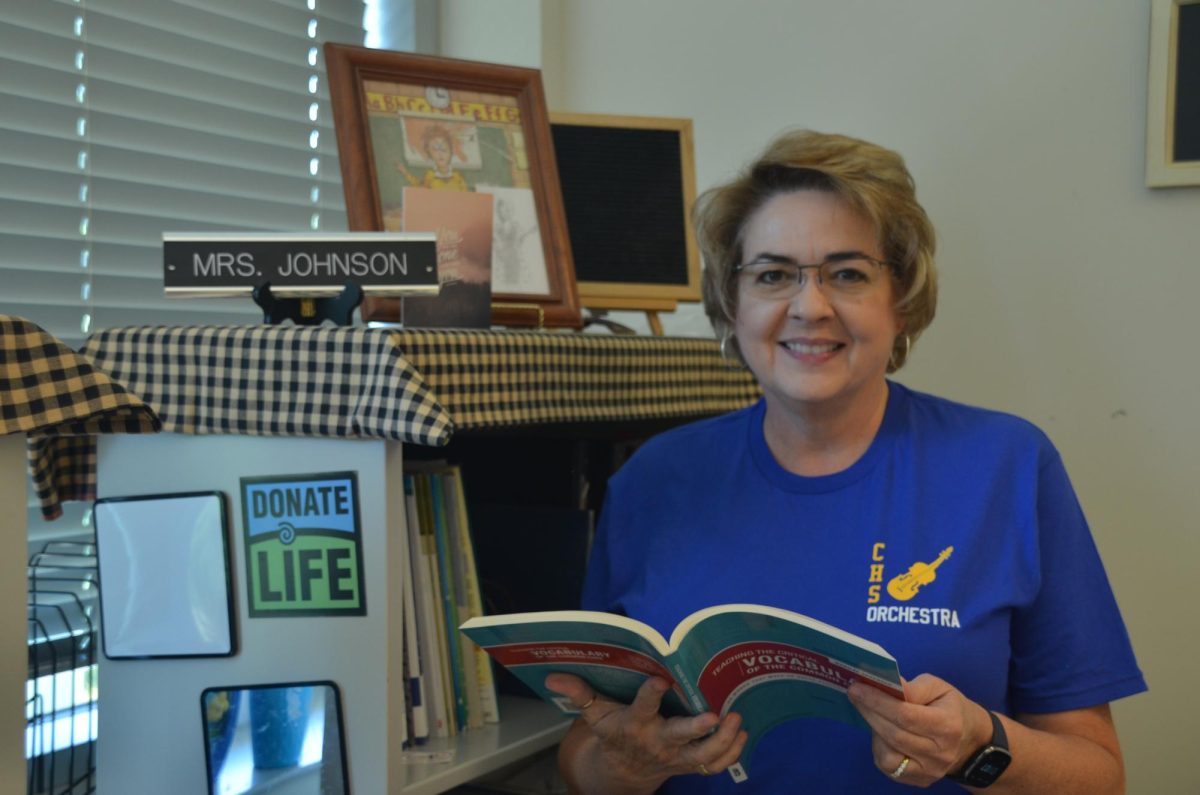 Mrs. Johnson in her classroom. Photo by Michael Bryant.