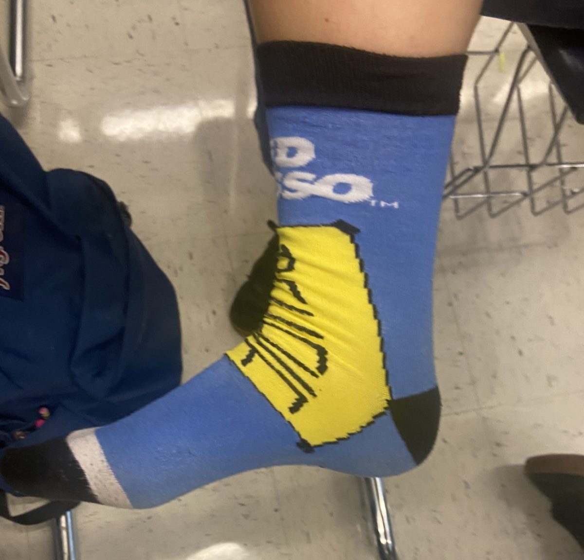 The BEST sock type. Crew socks. 
Photo Courtesy of Hawa Khan (‘27).