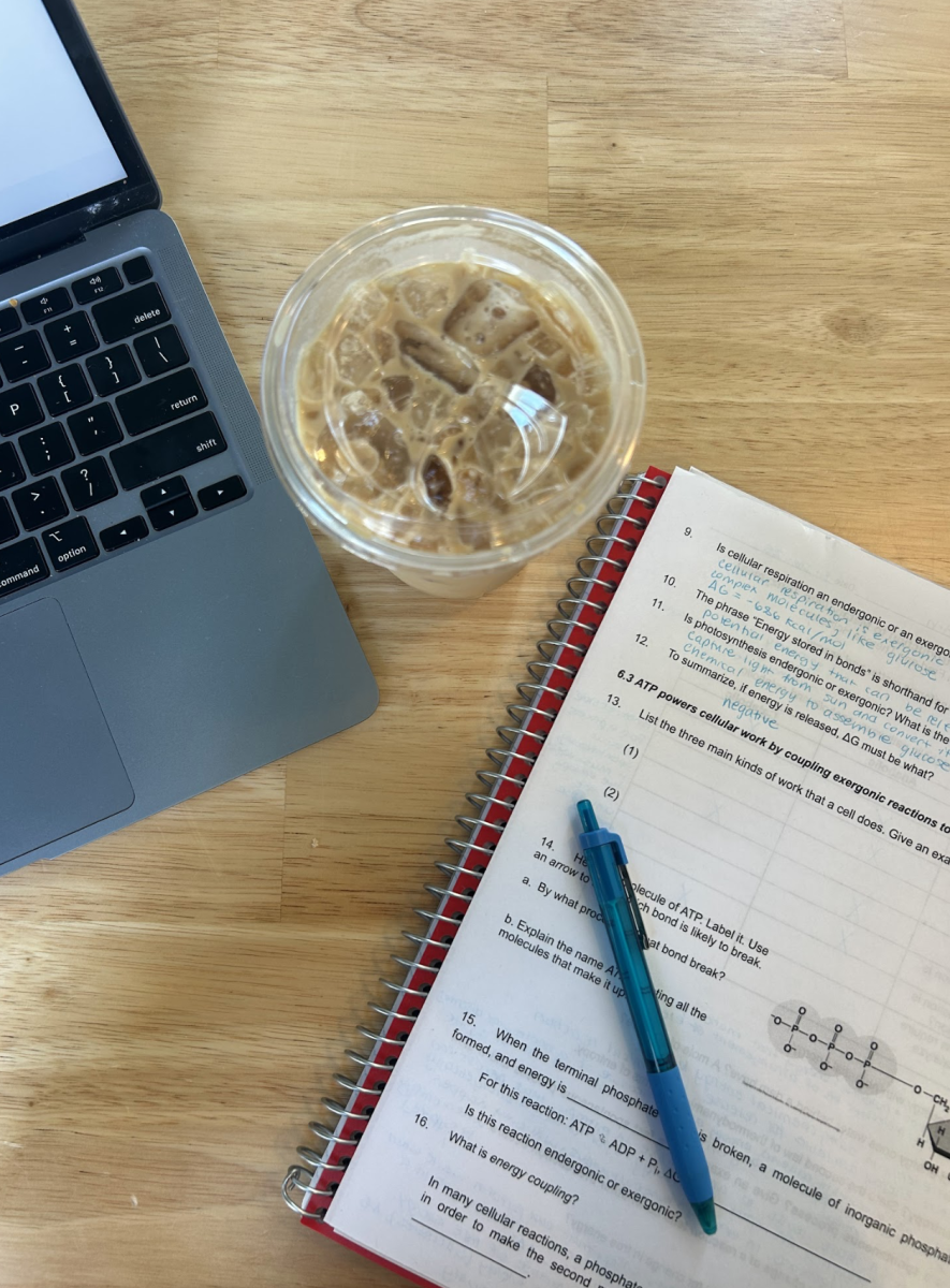 A photo of the author working hard at one of her favorite study locations. Photo by Sydney Moss.
