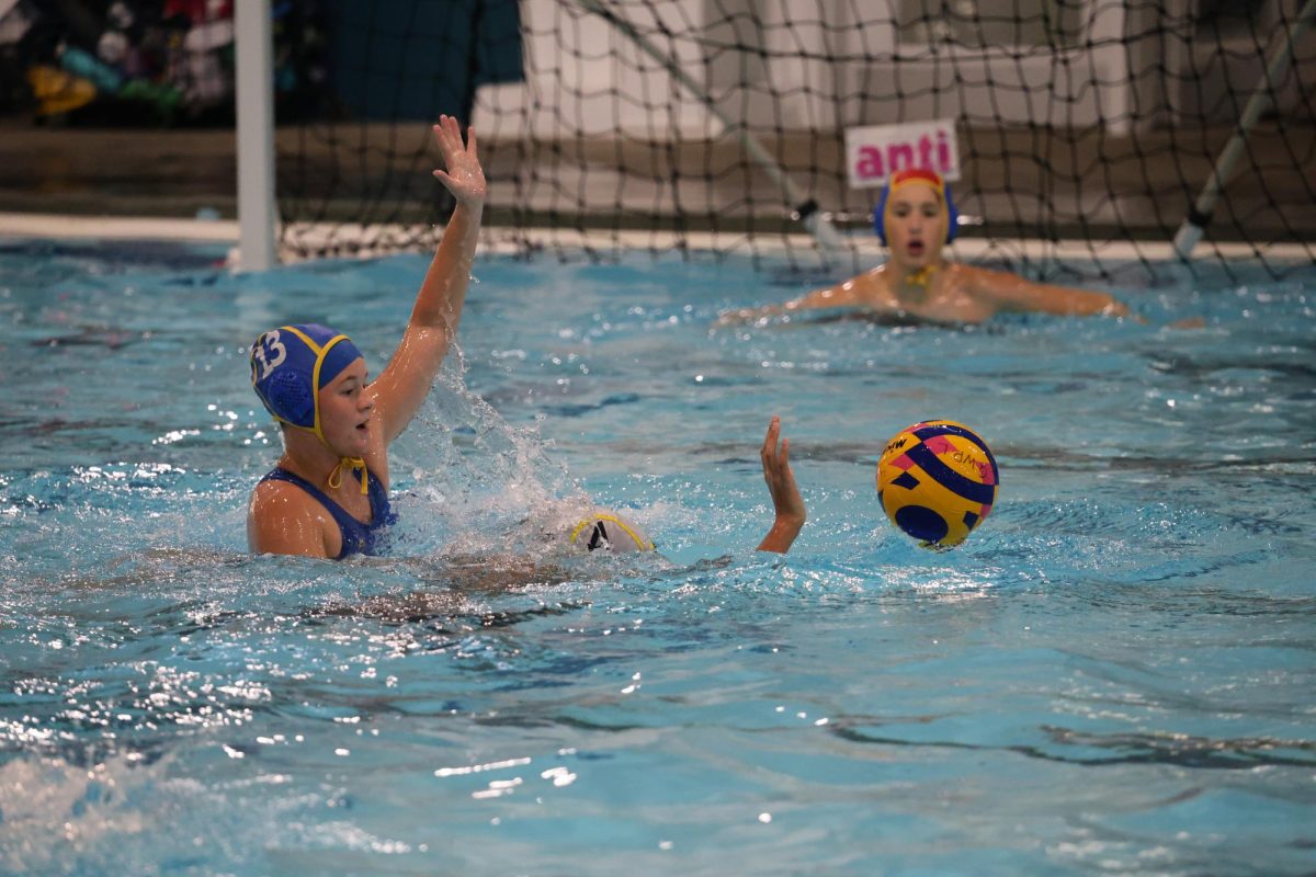 The Chamblee Waterpolo team. Photo Courtesy of Mallory Williams.