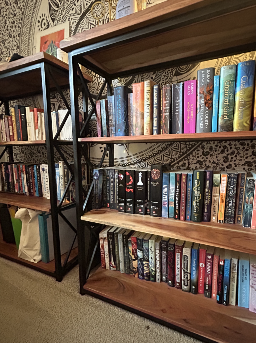 A photo of the author's bookshelf. Photo by Sydney Moss.
