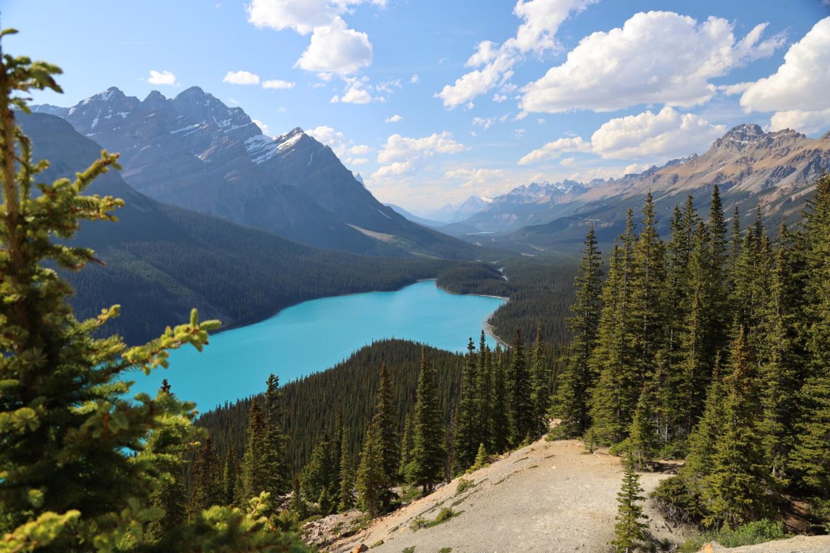 The Canadian Rockies! Photo by Anna Kate Flood